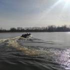 zdjęcie nr 8