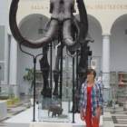 (fot. SP1)