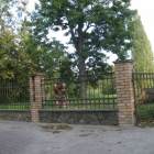 Przasnysz pracownia rzeźbiarska
