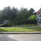 Przasnysz Ratusz park