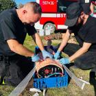 Fotka nr 1 z 8
