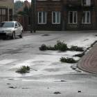 zdjęcie nr 31