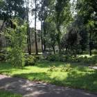 zdjęcie nr 45