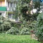 zdjęcie nr 38