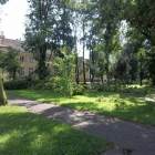 zdjęcie nr 44
