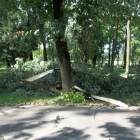 zdjęcie nr 43