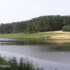 zdjęcie nr 10