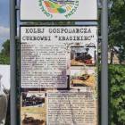 zdjęcie nr 12