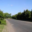 zdjęcie nr 17