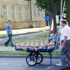 zdjęcie nr 7