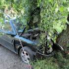 Fotka nr 2 z 4