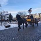 zdjęcie nr 19