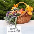 zdjęcie nr 15