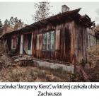 Fotka nr 3 z 10