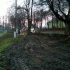 Fotka nr 3 z 10