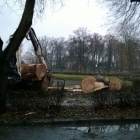 Fotka nr 2 z 10