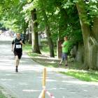 zdjęcie nr 31