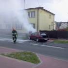 zdjęcie nr 8