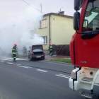 Fotka nr 5 z 9