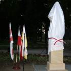 zdjęcie nr 21