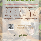 Fotka nr 1 z 2