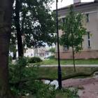 zdjęcie nr 9