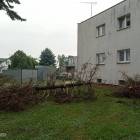 zdjęcie nr 24