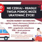 Fotka nr 1 z 3