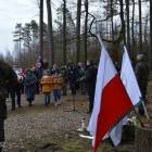 zdjęcie nr 20
