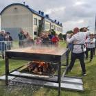 Fotka nr 2 z 15