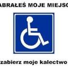 Fotka nr 0 z 7