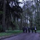 zdjęcie nr 7