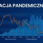Fotka nr 5 z 6