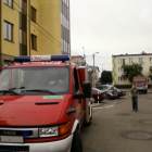 Fotka nr 5 z 14