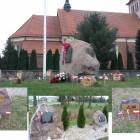 zdjęcie nr 7