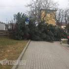 Przasnysz, ul. Lipowa