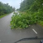 zdjęcie nr 9
