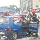 zdjęcie nr 13