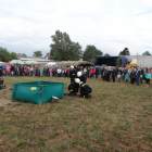 zdjęcie nr 21