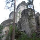 zdjęcie nr 8