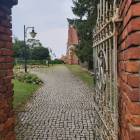 zdjęcie nr 15