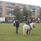 zdjęcie nr 18