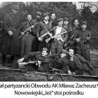 Fotka nr 5 z 10