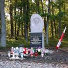 zdjęcie nr 22