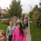 zdjęcie nr 8