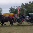 zdjęcie nr 37