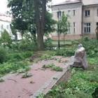 zdjęcie nr 8