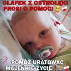 Fotka nr 0 z 4