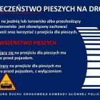 Fotka nr 3 z 4