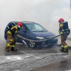 Fotka nr 4 z 6